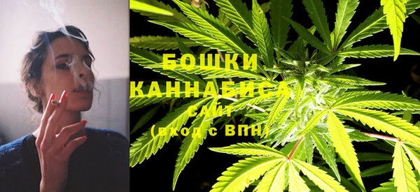 хмурый Бронницы