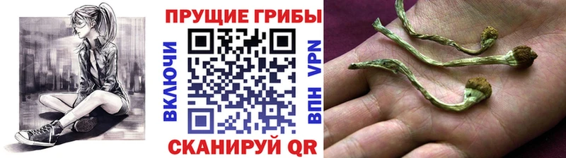 Псилоцибиновые грибы Magic Shrooms  Купить  Нягань 